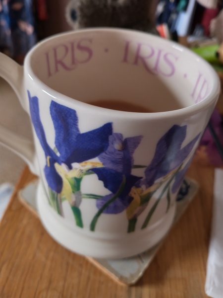 What are you up to today if you have chronic illness part 2?