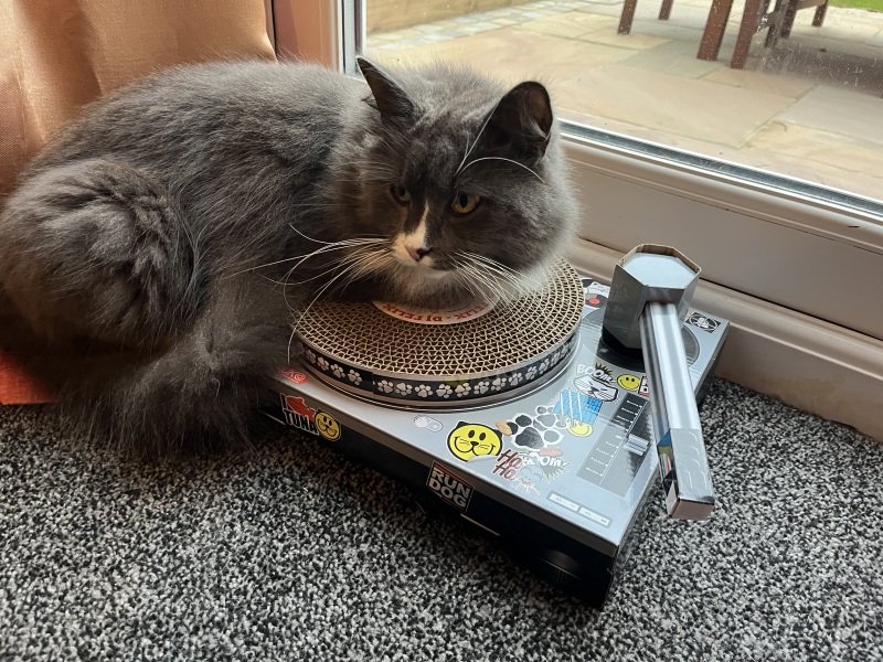 Thread 35 Starmer: Old and smelling of roses