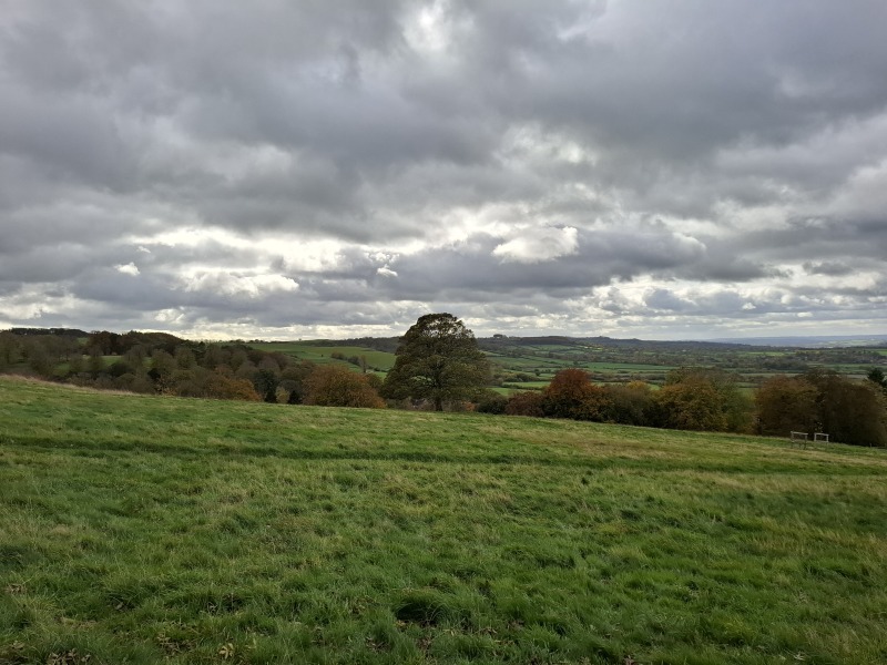 The Nigel Slater Christmas Chronicles Readalong 2025