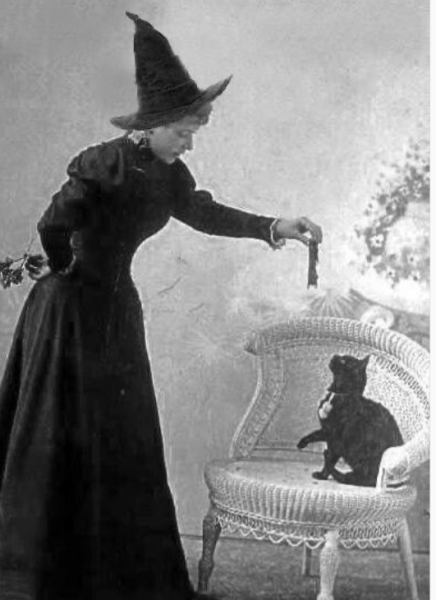 Thread 35 Starmer: Old and smelling of roses