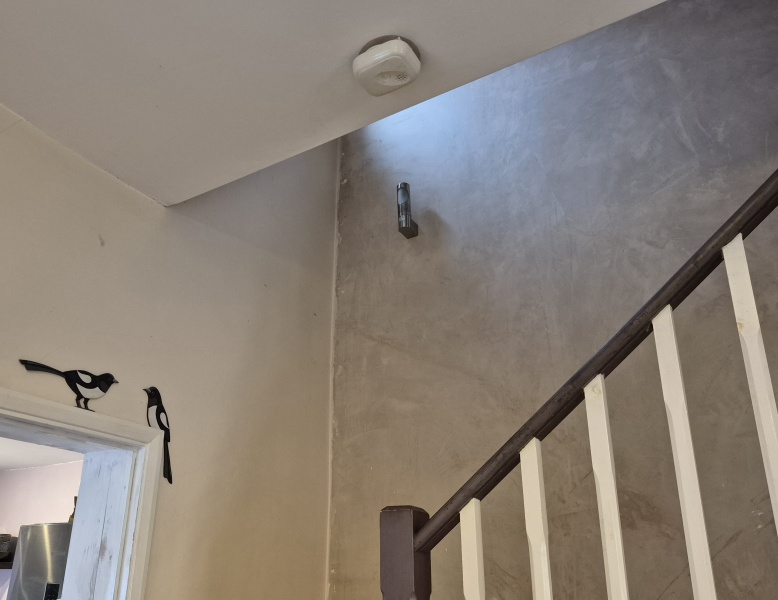 Where to put a picture rail. Long but (dull) photos!