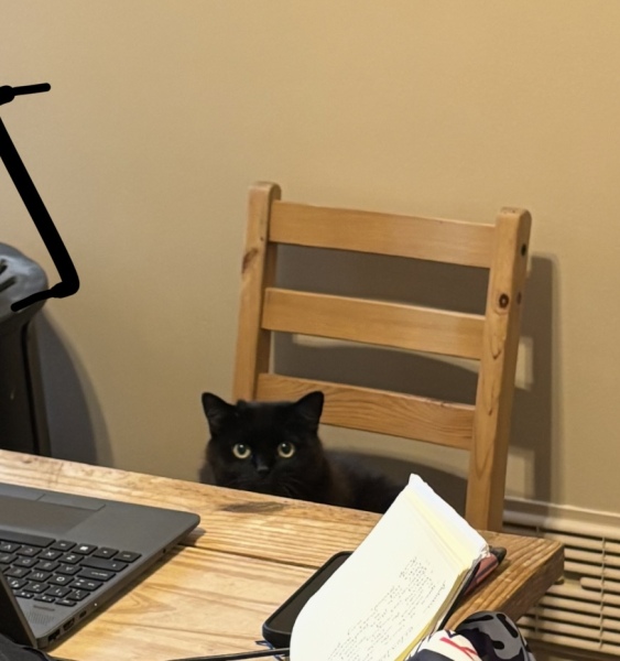 Thread 35 Starmer: Old and smelling of roses