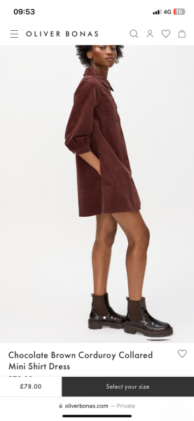 Your opinions on this dress please