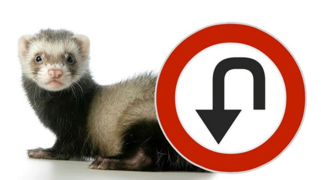 Men violently preventing women from congregating, communicating and networking, is what the Taliban do. Why is it happening in the UK?