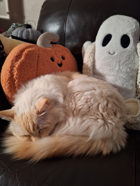 Year round Nigel Slater discussion thread Part 2