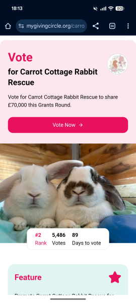 TRAs online attack on a bunny rescue