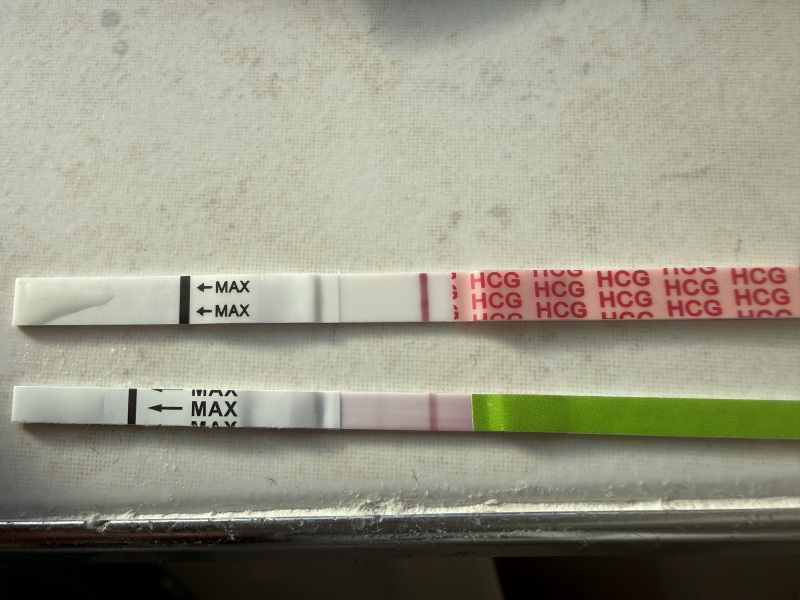 Help!! Can anyone else see a very faint line??