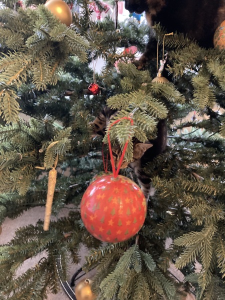 Kitten and Christmas tree