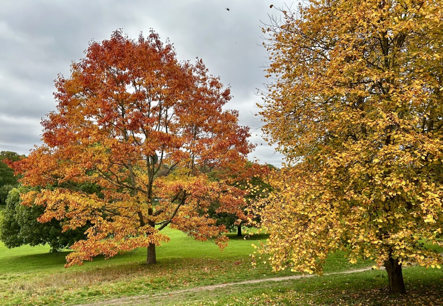 Come and tell us your dull and unexciting news 34: Calmly through the day