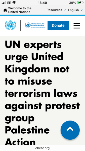 Do you think the Palestinian protests should be restricted?