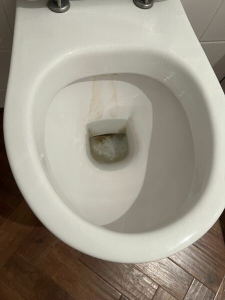 Stained Toilet!