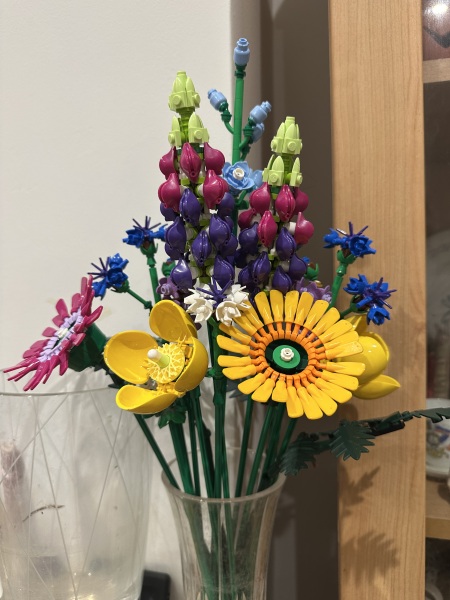 Poncetastic Christmas 2025