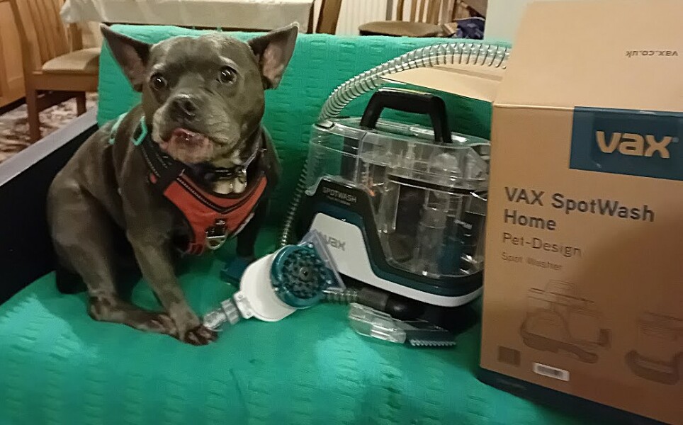 Support thread for those trying to lead an alcohol free life - Autumn 25