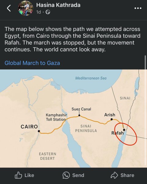 To feel like the tide of public opinion has turned against the pro-palestine protestors