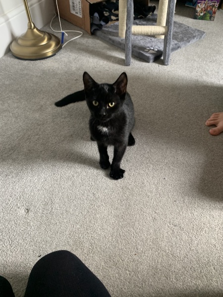 The Happy Place Café and Tilly's dog wash is still open.