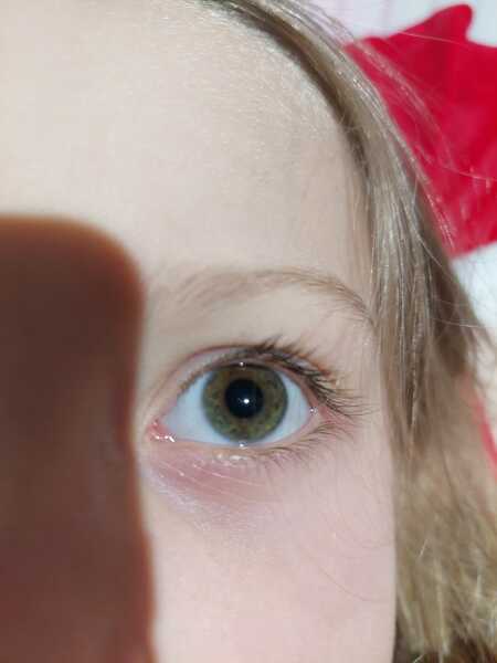 What colour are my DD's eyes?