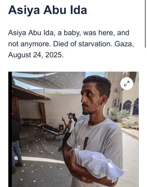 Why would would you still have pro Palestinian marches apart from now instilling more fear into the Jewish community