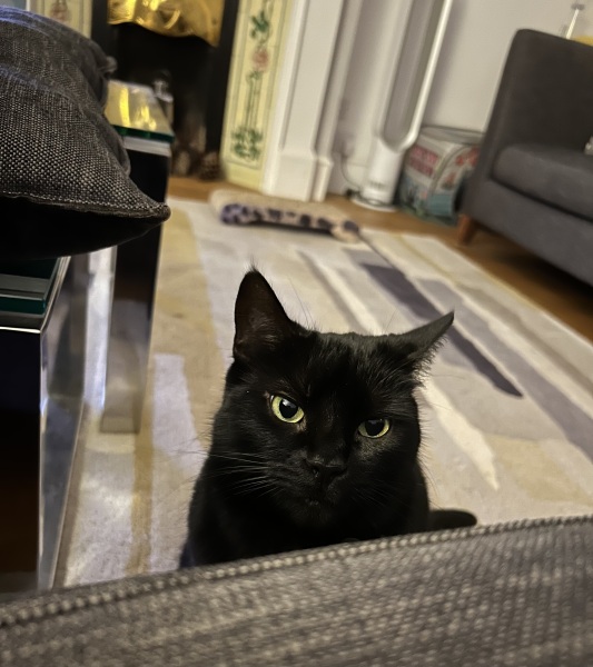 Thread 36 Starmer - Triggered by ads and Da iawn, Caerffili.