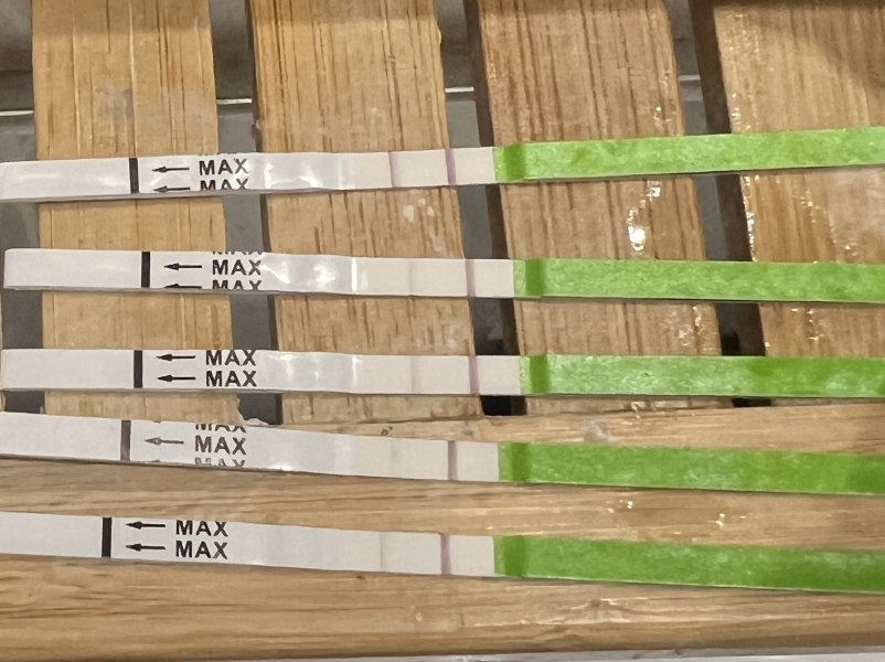 Ovulation Tests please help