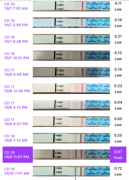 Tww - 1dpo