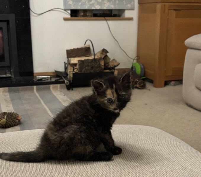 May 2025 Starters Thread 6 - We’re all totes protes now ✌️