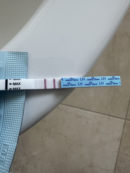 Is this a positive opk (first period after abortion)