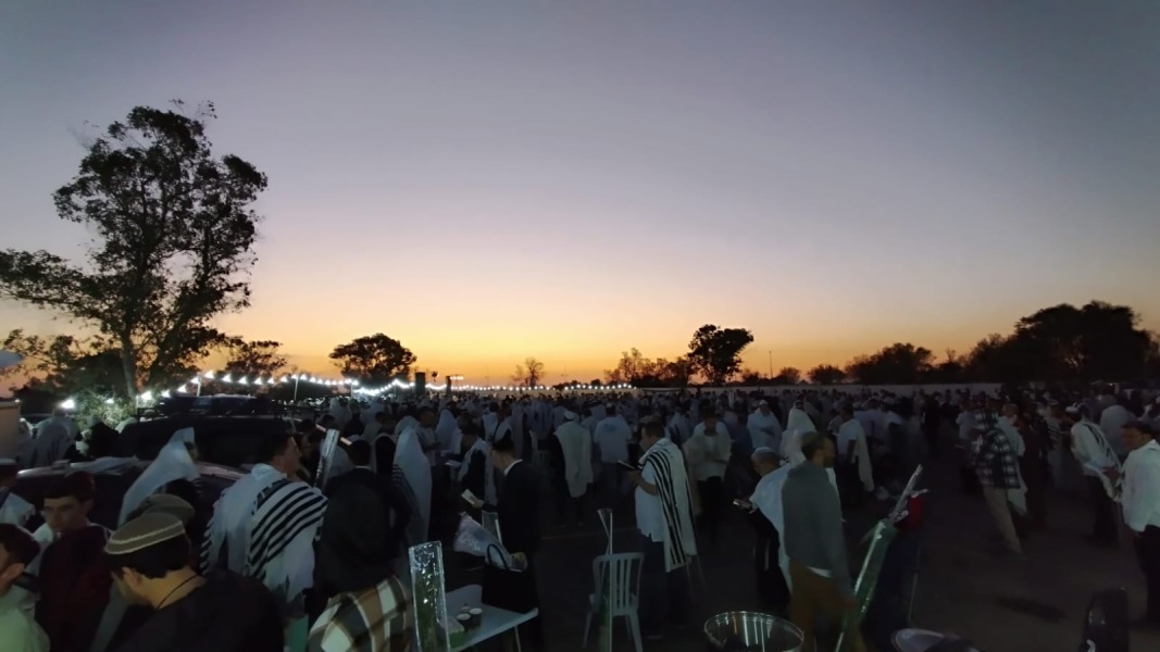 Chat thread 5 🐥🍲(Mumsnets could do better cont…)