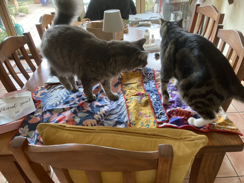 Scottish Tourism - the Excellent Cats debate Gizmo's suitability as a top influencer