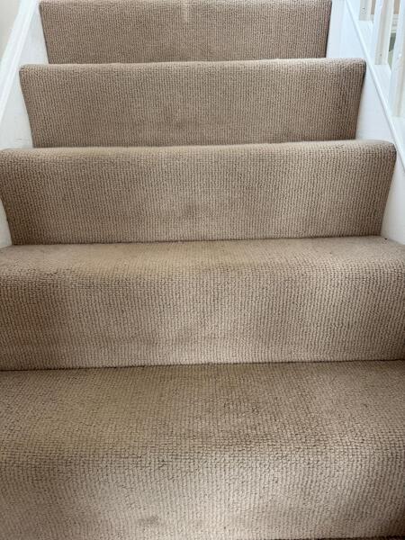 How long should a new carpet stay clean?