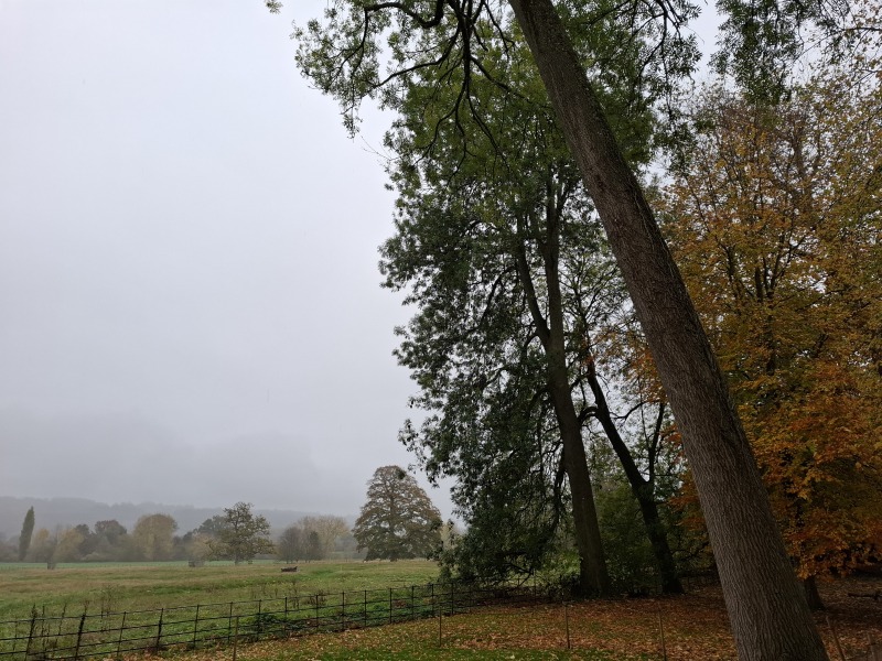 The Nigel Slater Christmas Chronicles Readalong 2025