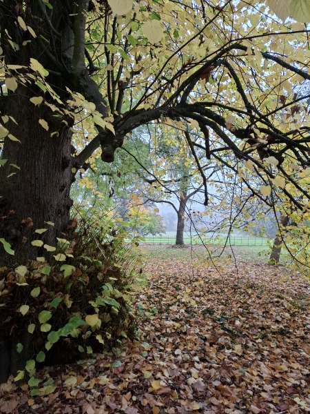 The Nigel Slater Christmas Chronicles Readalong 2025