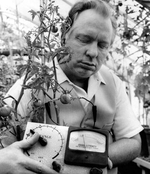 Greens internal drama warms up