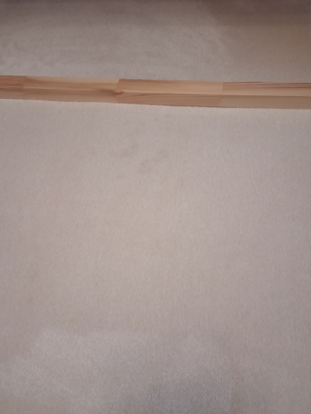 Is there anything else I can try on this vomit stain?