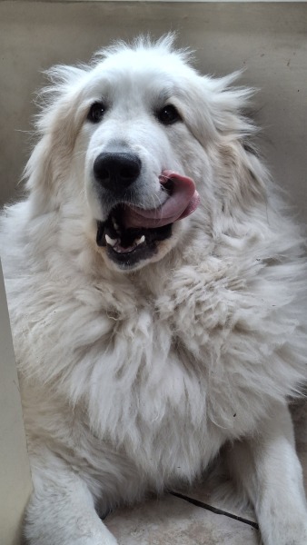 Our Cosmic Autumn Rebellion (Adolescent Support Group)