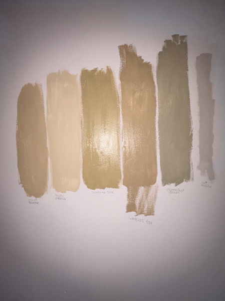 Replacing grey with beige/browns?