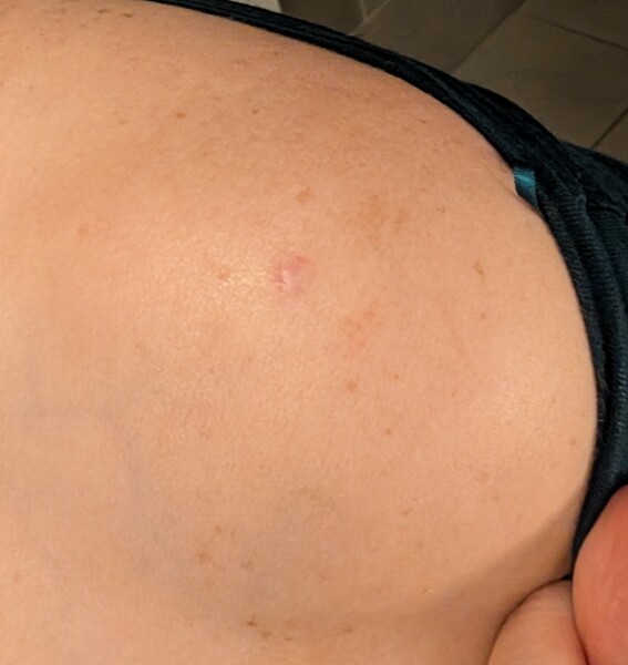 How to trust the professionals