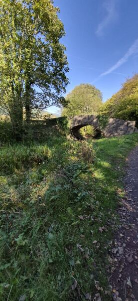 Come and tell us your dull and unexciting news 34: Calmly through the day