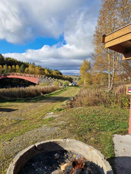 Year round Nigel Slater discussion thread Part 2