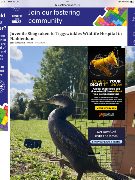 To believe we can retire the word "shagging"?