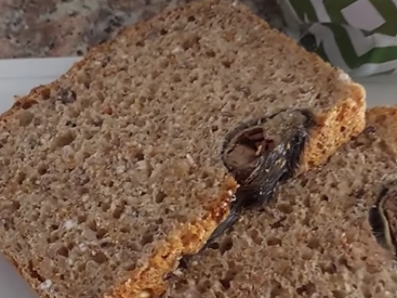 Are Cake Sheds a thing in your town?