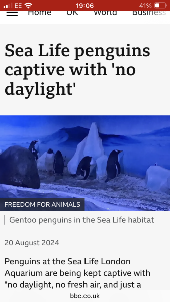 Penguins at Sea World..very upsetting **MNHQ correction - London Aquarium**