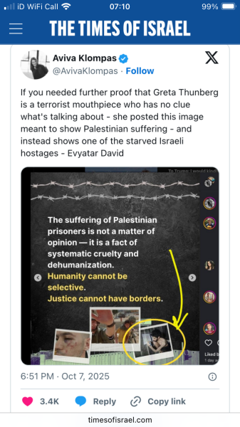 The Flotilla and Greta - a PR disaster