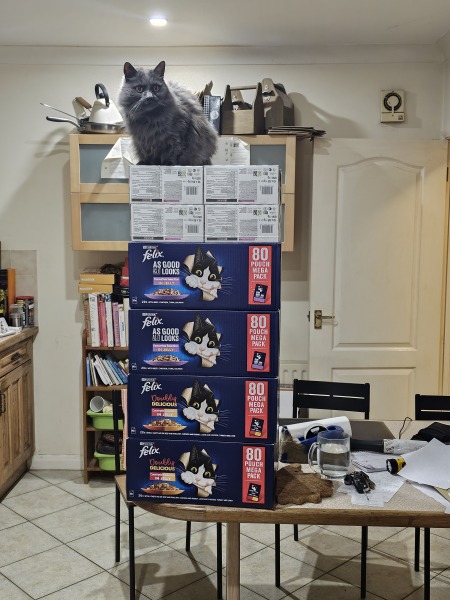 Scottish Tourism - the Excellent Cats debate Gizmo's suitability as a top influencer