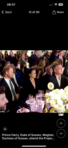 Can someone explain why Harry and Meghan are Humanitarians of the year ?