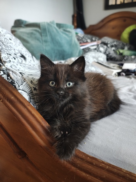 What might he look like as a grown up?