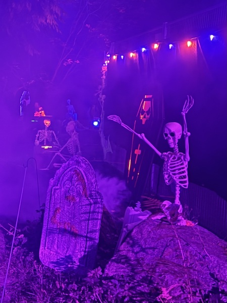 Come and tell us your dull and unexciting news 34: Calmly through the day