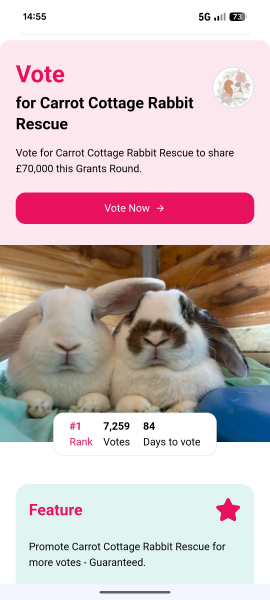 TRAs online attack on a bunny rescue