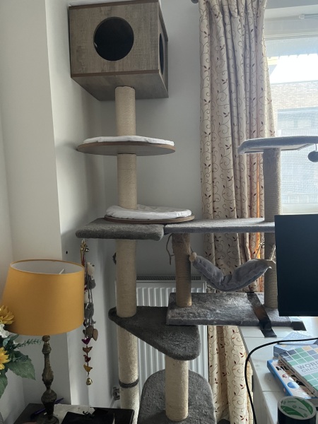 Scottish Tourism - the Excellent Cats debate Gizmo's suitability as a top influencer