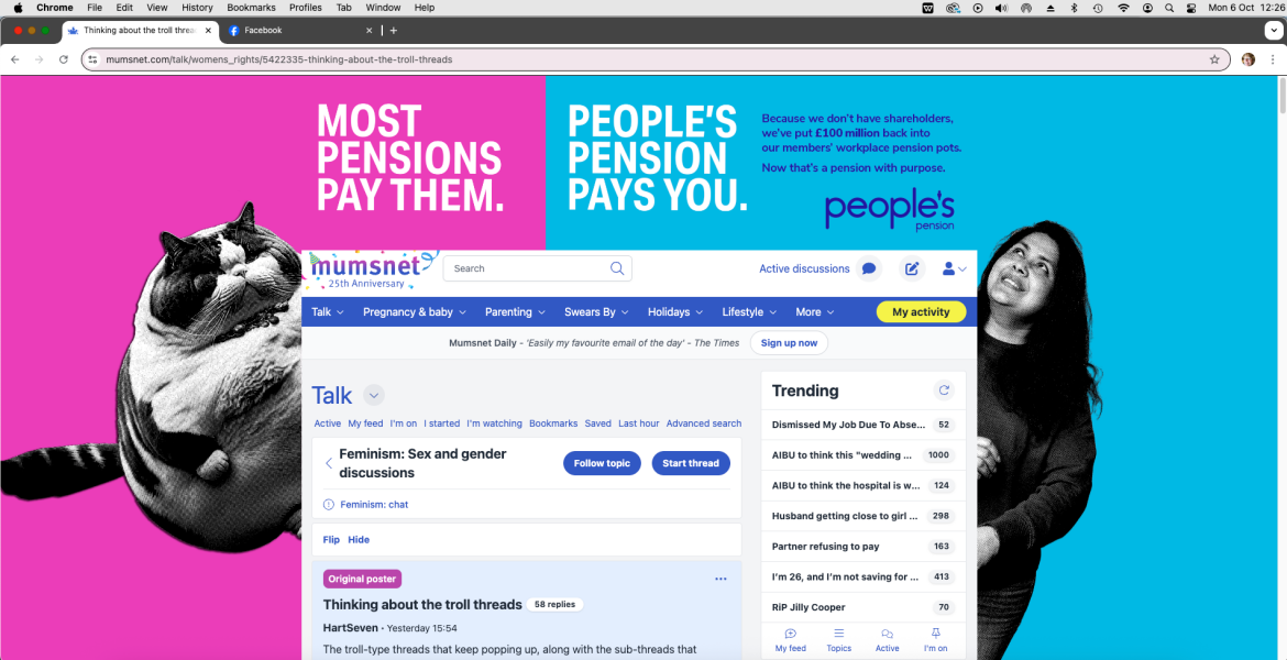 The terrible coloured moving adverts...