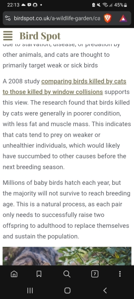 To think cat ownership should be considered more anti-social than it is